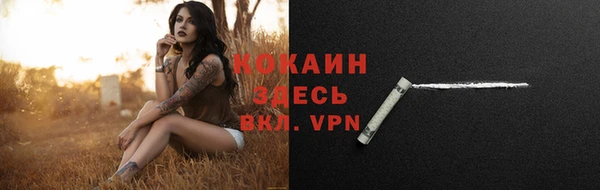 мет Каменск-Шахтинский