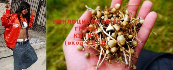 гашишное масло Каменка
